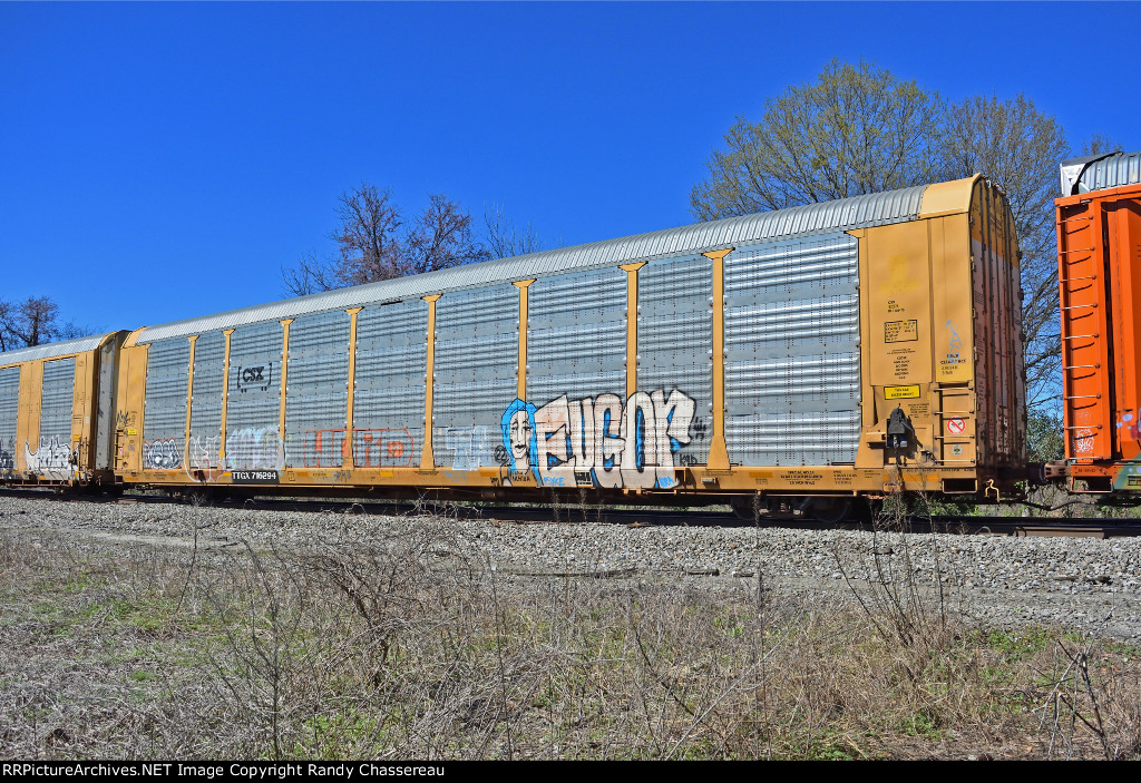 TTGX 716294